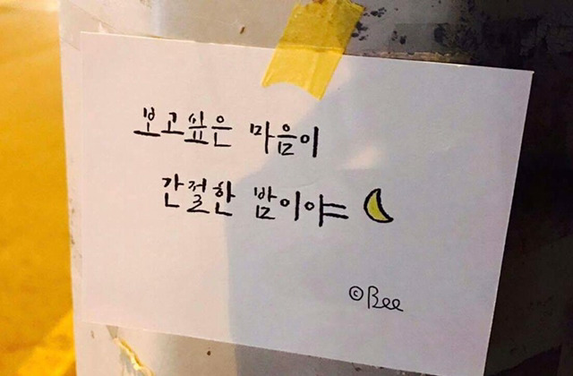 돼지오빠 이미지
