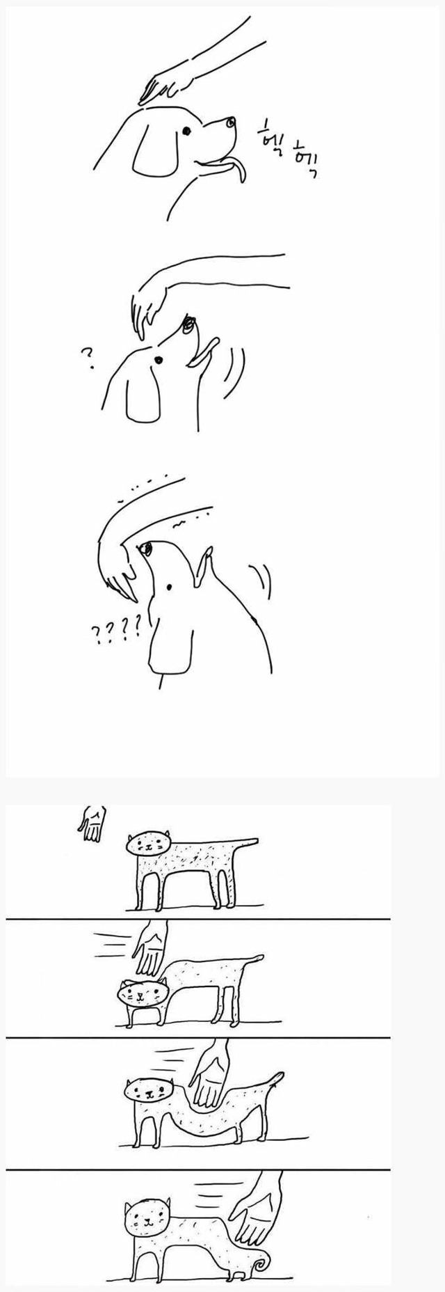 냥냥이 댕댕이 만질 때 공감.jpg | 인스티즈