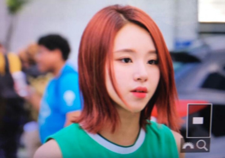 정말 귀여운 트와이스 채여이.jpgif | 인스티즈