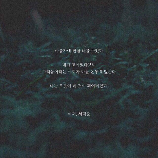 해는 다 졌고 꽃도 저물었고 하루가 죽었고 마음의 지평선 위로 별이 총총 눈을 떴고 달은 튕겨오르고 | 인스티즈