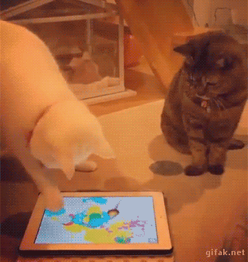 암튼 너 때문이야.gif | 인스티즈