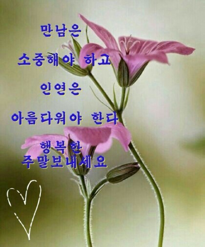 기분좋은날 이미지
