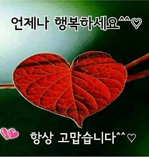 아름답게 이미지