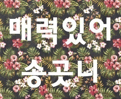 트와이스 외국인 멤버 속담퀴즈 | 인스티즈