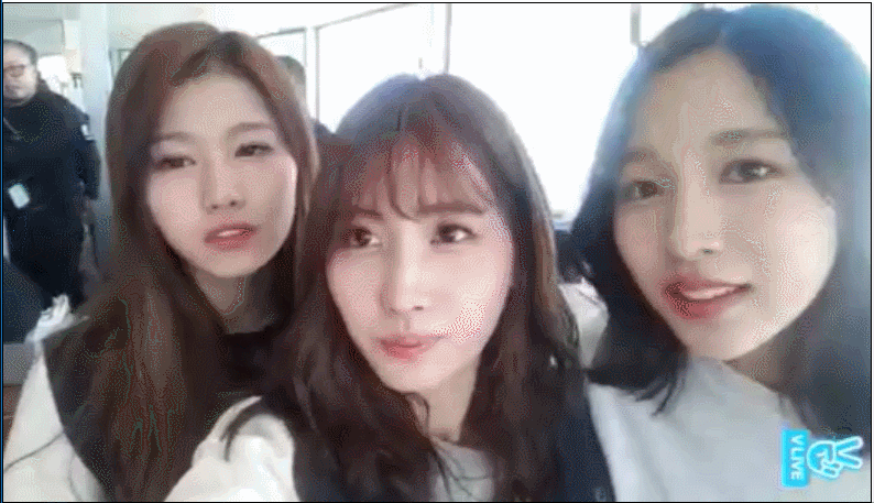 묘이 미나 스위스 | 인스티즈