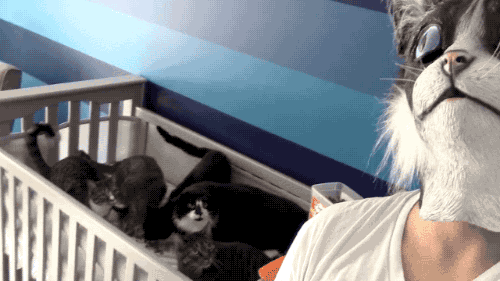 집사의 반란.gif | 인스티즈