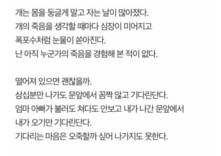 나는 개를 키운것을 후회한다 | 인스티즈