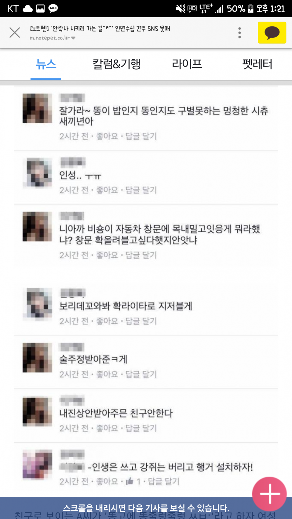 멀쩡한 강아지 안락사 SNS 인증 | 인스티즈