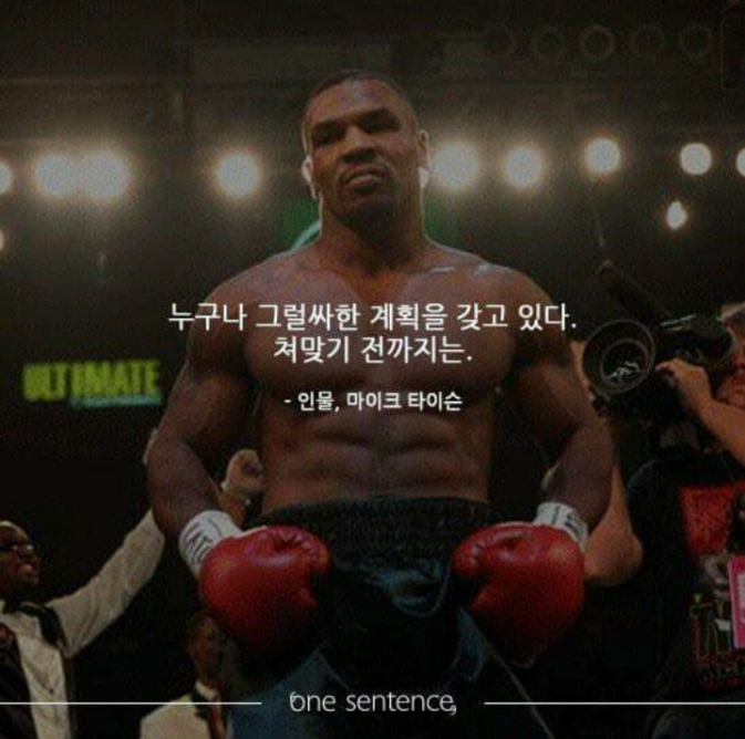 누구나 그럴싸한 계획은 갖고 있다. 쳐맞기 전까지는 | 인스티즈