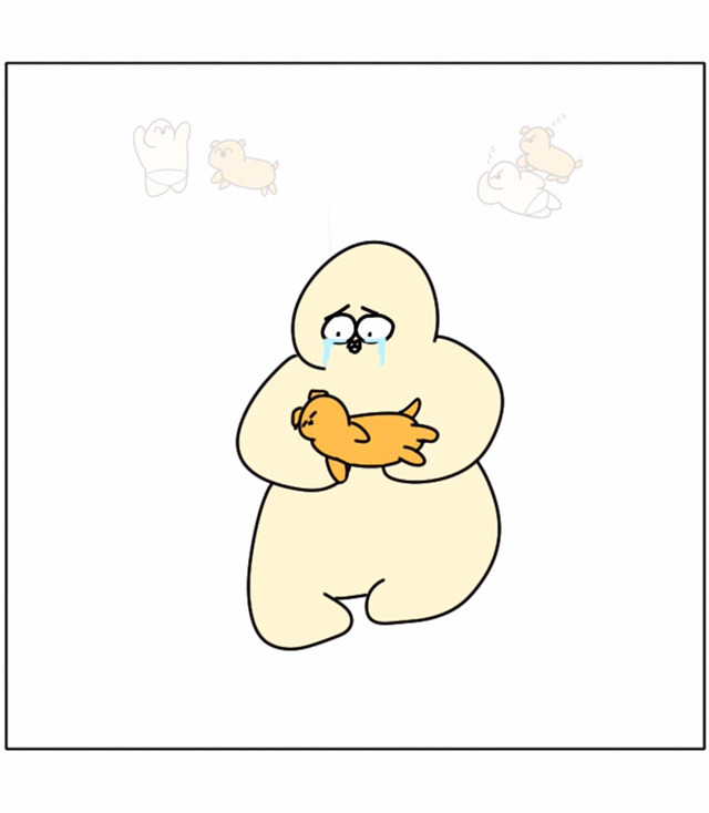 강아지가 우리 곁을 떠날 때 | 인스티즈