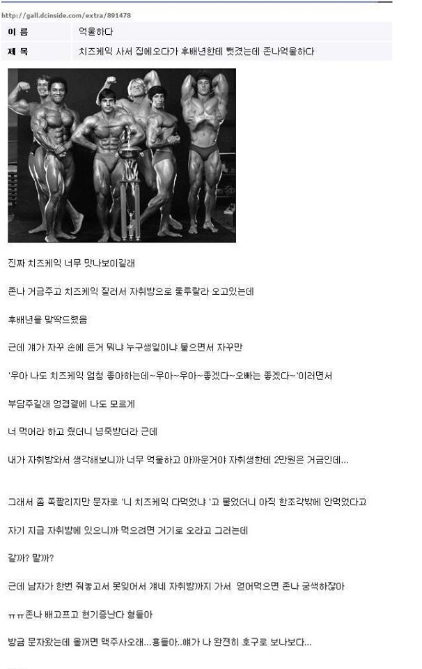 치즈 케이크를 뻈겨서 억울한 DC인 | 인스티즈