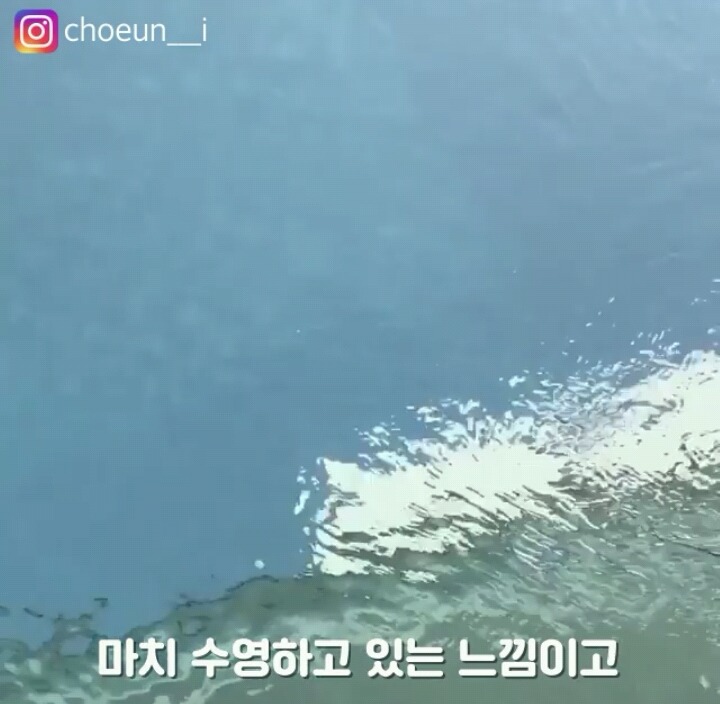신기한 수영장.jpg | 인스티즈