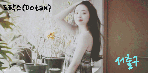 허언갤 베스트 | 인스티즈