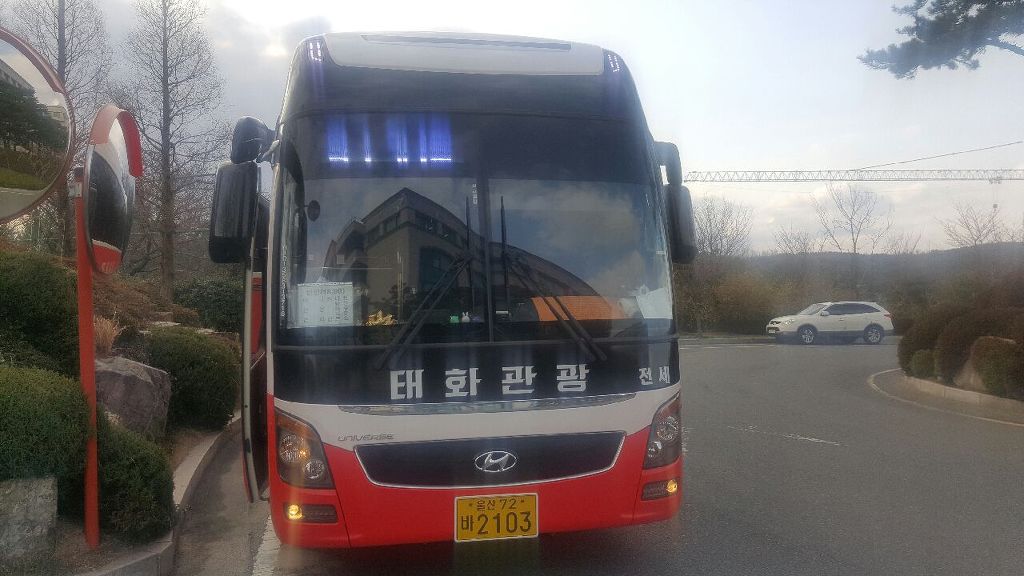 태화여행사 이미지