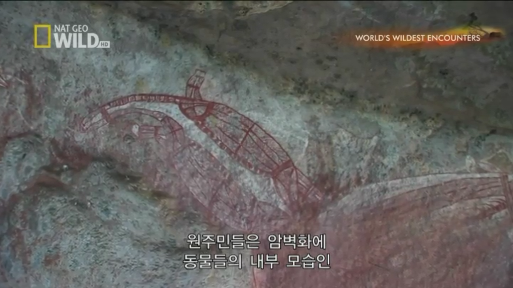 인에너지 이미지