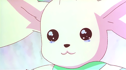 짤로도 많이 쓰이는 디지몬 테이머즈의 귀요미 '테리어몬' (움짤多/ | 인스티즈