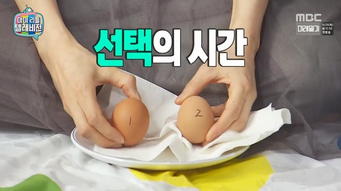 홍진호 설계하는 김가연 | 인스티즈