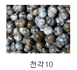 약명 이미지