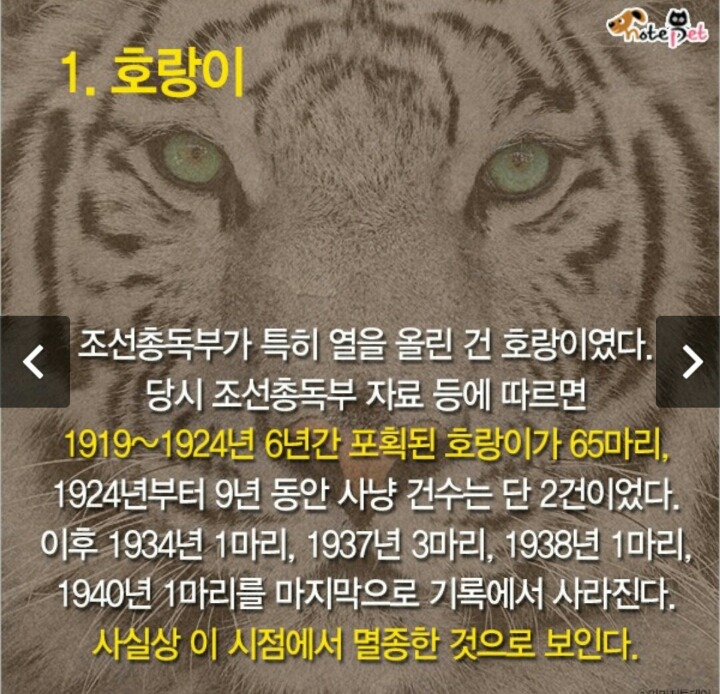 일제강점기 한반도에서 사라진 동물들.jpg | 인스티즈