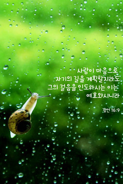 에벤에셀 이미지