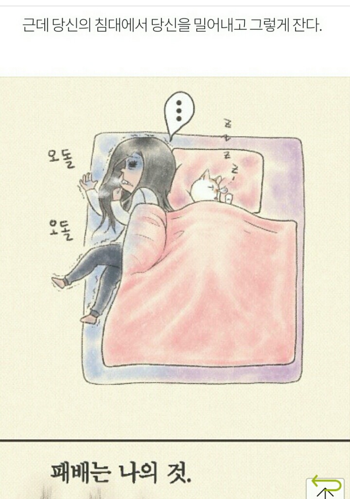 상상 속의 고양이 vs 실제 고양이 | 인스티즈