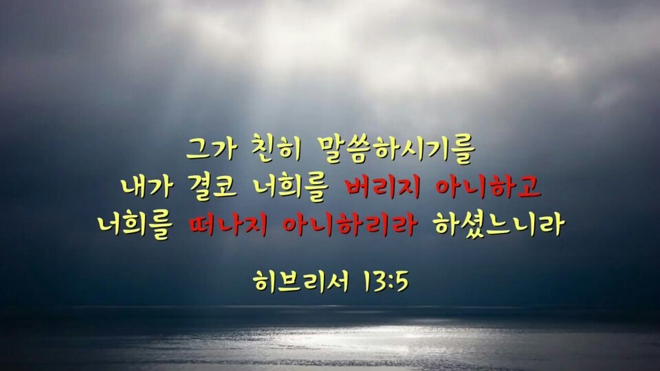 데이빗 이미지