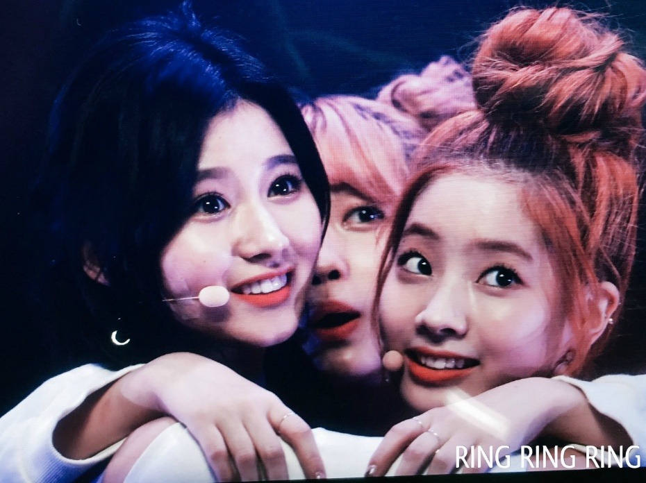 월요일에 보는 귀여운 사나.gif | 인스티즈