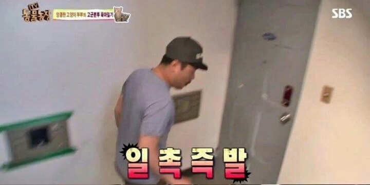 동물농장 PD의 역대급 당황 | 인스티즈