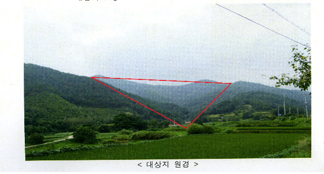 숲정 이미지