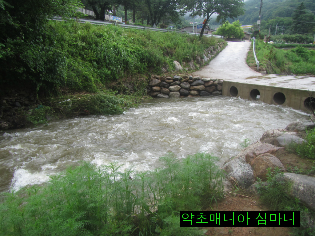 회원식당 이미지