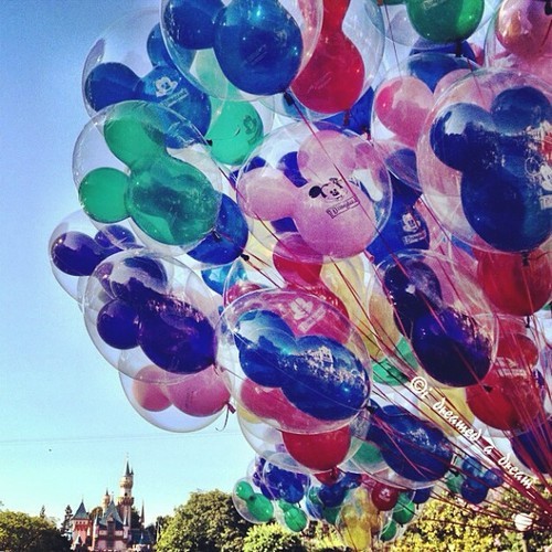 아이들 뿐만 아니라 어른들의 동심까지도 지켜주는 디즈니랜드(Disney land) 일화 | 인스티즈