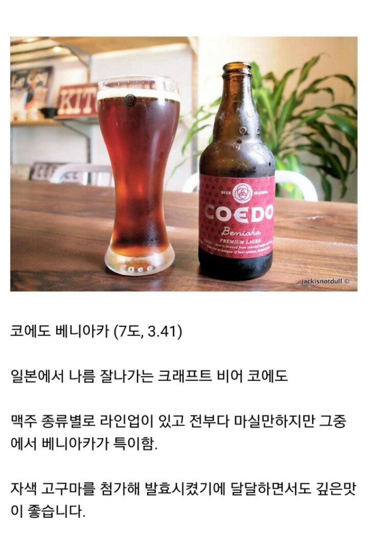 맥주 덕후들이 추천하는 맥주 | 인스티즈