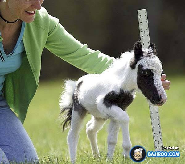 누구에게나 어린시절은 있다 | 인스티즈