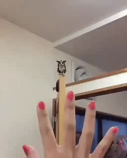 온몸으로 하이파이브.gif | 인스티즈