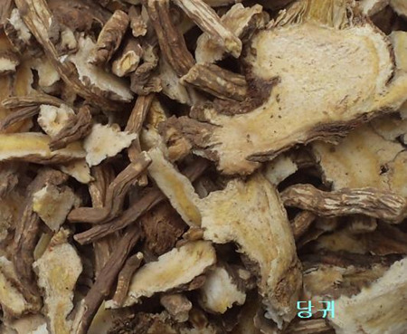 피네네일 이미지