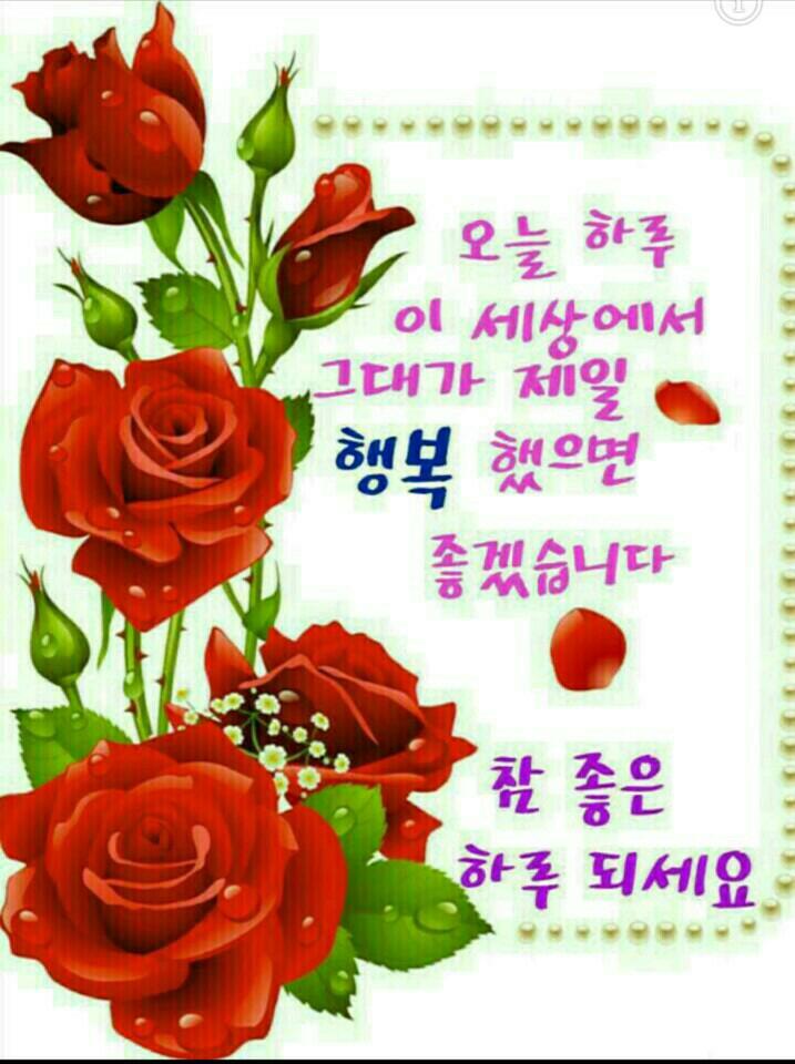 작은 하늘 이미지