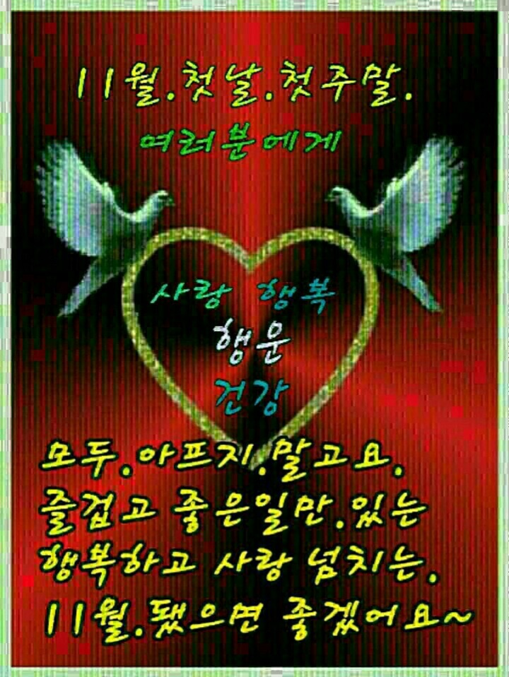 당고네 이미지