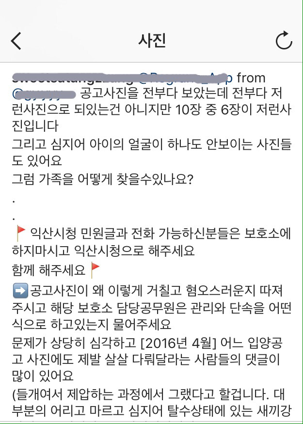 개선이 시급하고 사태가 심각한 시보호소의 모습 | 인스티즈