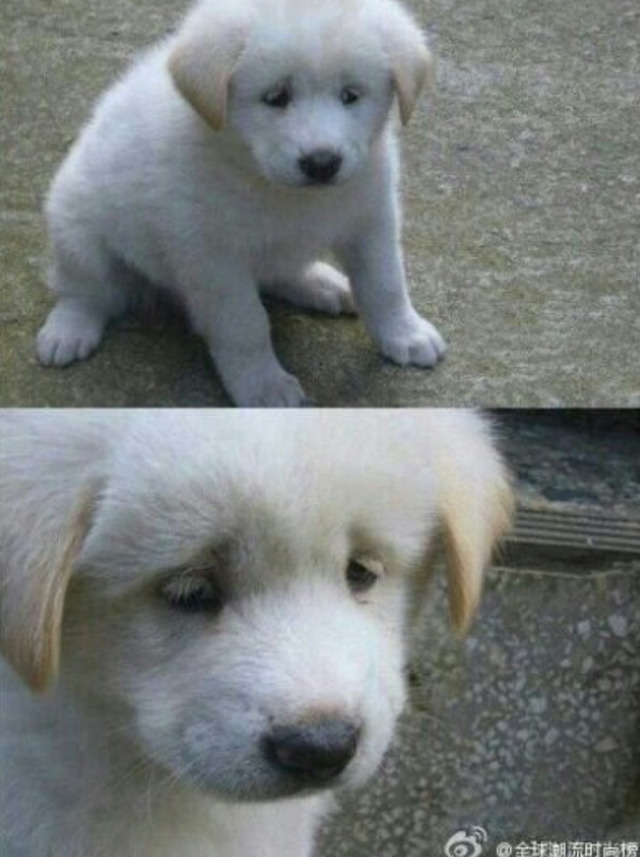 아 이미지