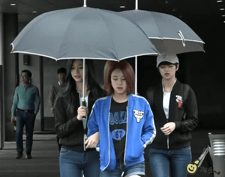 트와이스 실질적인 실세 | 인스티즈