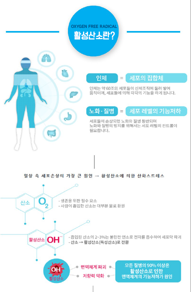 육각수 이미지