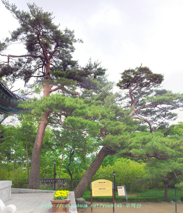 문성사 이미지