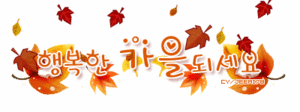 놀아보고서 따라 가본 남들은 모르는 가을여행지 BEST 7 | 인스티즈