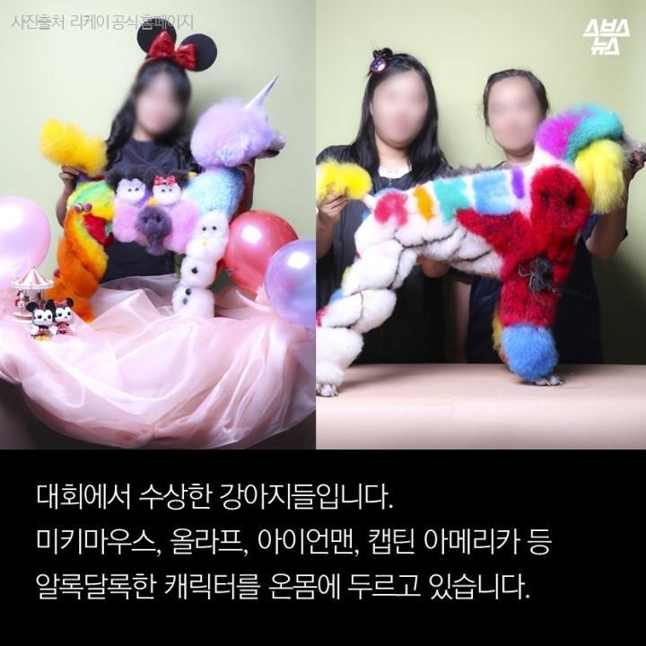 강아지가 도화지야? | 인스티즈