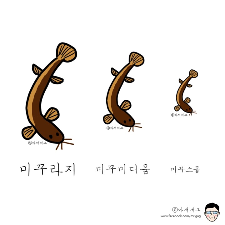 세상에서 가장 야한 음식 | 인스티즈