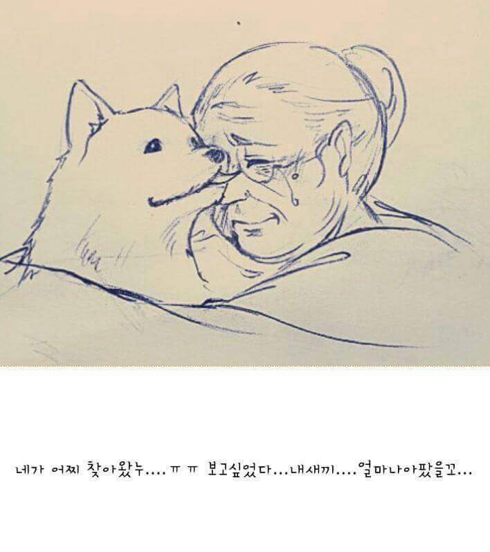 이 이야기는 실화입니다 | 인스티즈