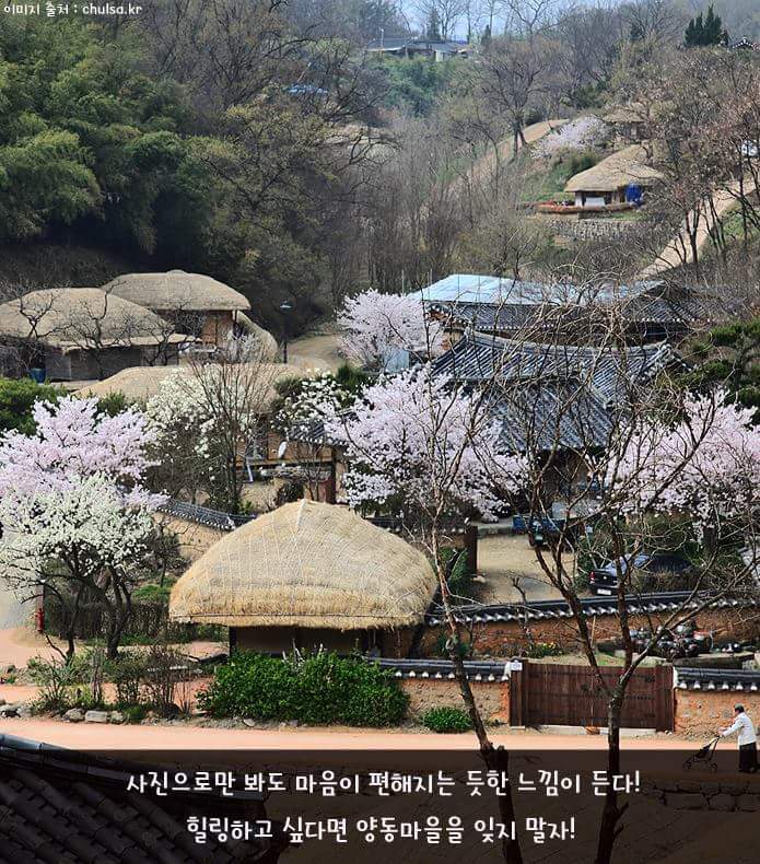 혼자 떠나기도 좋은 경주 여행 | 인스티즈