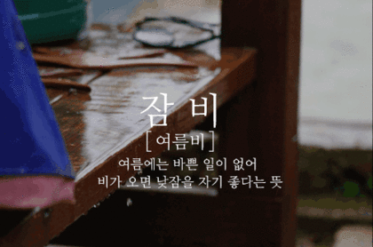  우리말로 된 예쁜 비이름 | 인스티즈