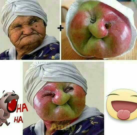 에그머니 이미지