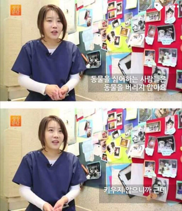 강아지나 고양이를 키우려는 사람들에게 | 인스티즈